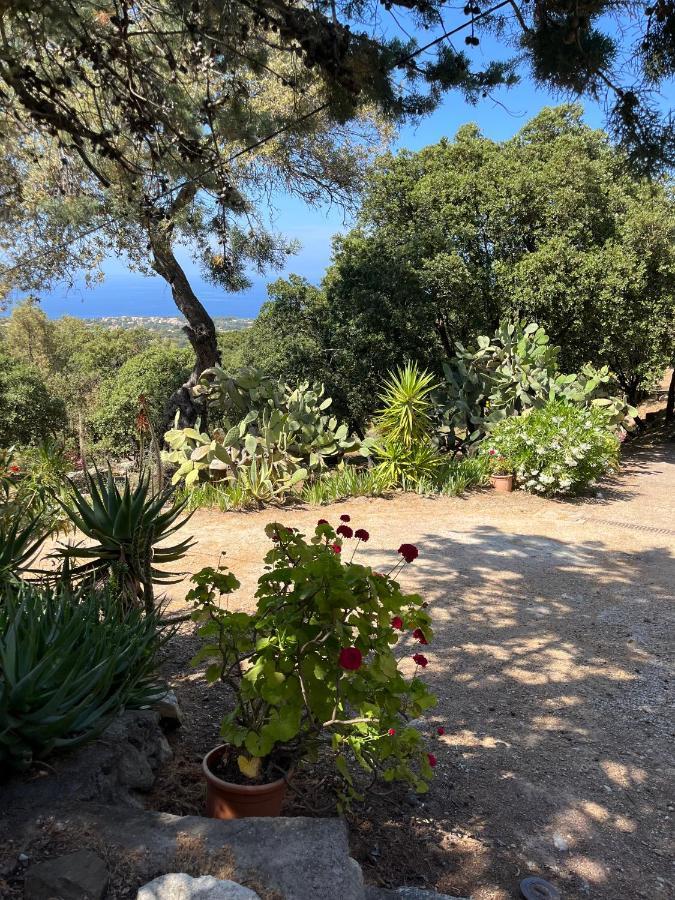 Villa Vue Mer Lumio  Buitenkant foto